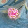 Nochevieja Flor Eterna Hierba Bigote de Dragón Material Paisaje Pino Penglai Día de Año Nuevo Colgante de Frijol Arroz Bienvenida de Boda Rosa Decoración del Hogar