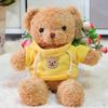Suéter Suéter Ursinho Vestindo Urso de Pelúcia Boneca Brinquedo de Pelúcia Boneca de Pano Laço Fofo Urso Abraçando Mais logo