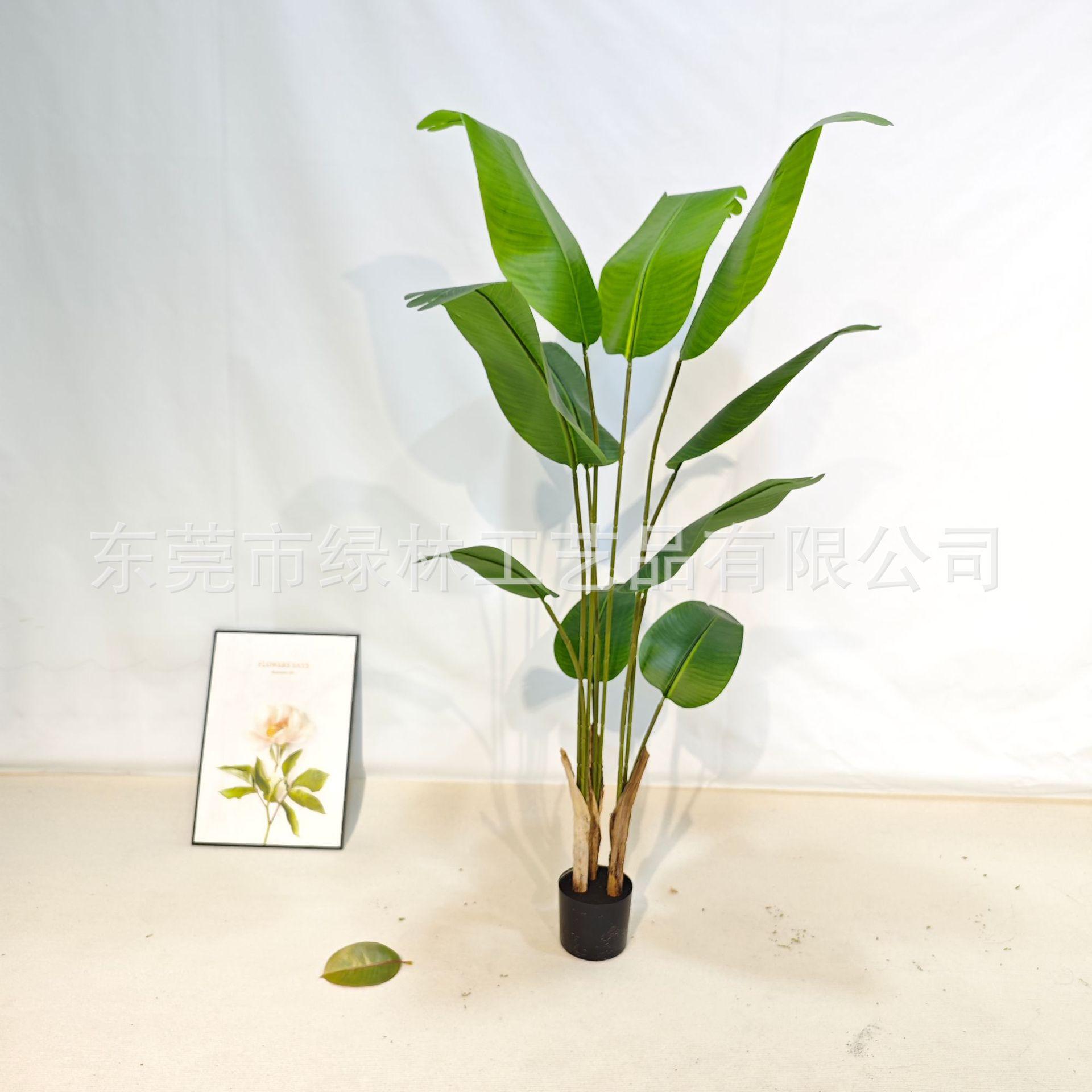 微信图片_20231104092033