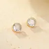 Sob a Árvore Banyan Prata de Lei S925 Joias de Exportação Brincos de Diamante Bolha Simples Clássico Versátil Brincos de Alta Qualidade para Homens e Mulheres