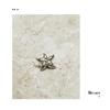 SIM Yisen Starfish Alloy Botão Moda Casaco Botão de Alta Qualidade Dupla Face Estilo Nifa All-match Sweater Fivela Decorativa