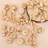 Material de cascabel de cáscara de fruta natural para accesorios de cuentas de llavero DIY hechos a mano, accesorios de pulsera, material de colgante de carillón de viento creativo
