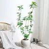 Planta Grande de Madera Pata de Pato en Maceta para Interior para Purificación del Aire, Adecuada para Dormitorio y Sala de Estar, Perenne Todo el Año, Planta Verde de Moda