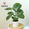 Flores Artificiais, Folhas de Plantas Artificiais, Bonsai Grande, Pequenos Enfeites Criativos para Interior, Plantas Verdes Artificiais, Plantas em Vasos, Amazon