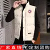 Nuevo Chaleco de Algodón para Hombre de Invierno Chaleco Coreano de Moda Chaleco Holgado Otoño e Invierno Chaleco Chaqueta Guapo y Cálido para Hombre