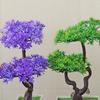 Planta de Simulación Bonsái Pino de Bienvenida Árboles Pequeños Maceta Interior Plantación Verde Flores Falsas de Escritorio Adornos Decoraciones para el Hogar