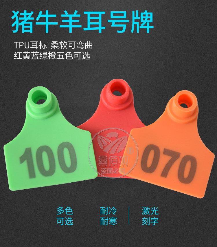 猪耳标B详情页(1).jpg