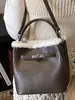 Bolso de Mano Pequeño Elegante de Alta Apariencia para Mujer 2025 Invierno Nueva Moda Bolso Cruzado Bolso Tote Pequeño Exquisito Bolso Cubo