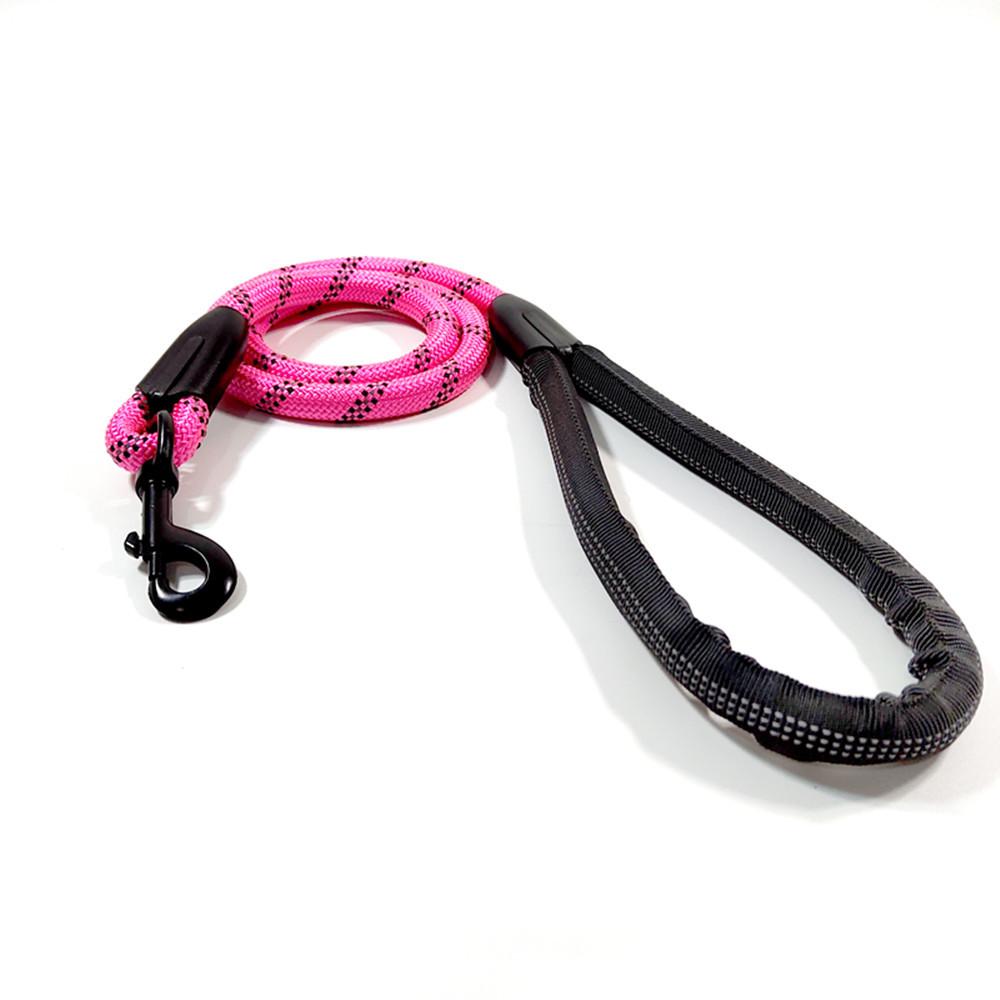 IMG_20190725_122711_副本