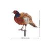 YKLU079 Amazon estéreo faisão acrílico pátio ao ar livre jardim arte decoração jardim cartão