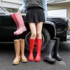 Botas de chuva confortáveis, de corte baixo e impermeáveis, botas de cano alto com sola grossa para uso ao ar livre, botas femininas forradas com fleece, botas de chuva duráveis e antiderrapantes