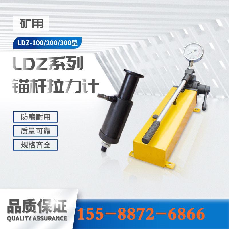 LDZ系列锚杆拉力计