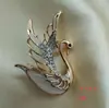 Broche de Alta Gama de Alta Gama Ojo de Gato Rosa Cisne Libélula Corsage Alfiler para Ropa Accesorios Venta al por Mayor