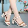 Sandalias de Mujer Sandalias de Verano para Mujer Zapatos Cómodos Versátiles 2024 Nuevo Verano Tacón Grueso Moda Zapatos de Mujer de Mediana Edad con Hebilla