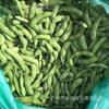 Vainas de Edamame Congeladas, Frijoles Edamame, Desvainados, Cocidos y Listos para Comer, Platos Fríos para Sushi, Frijoles Hervidos 10Kg/Pieza
