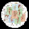 96 Adesivos de Análise Muscular Humana Médica, Adesivos para Caderno de Aprendizagem de Conhecimento de Anatomia de Órgãos e Músculos para iPad