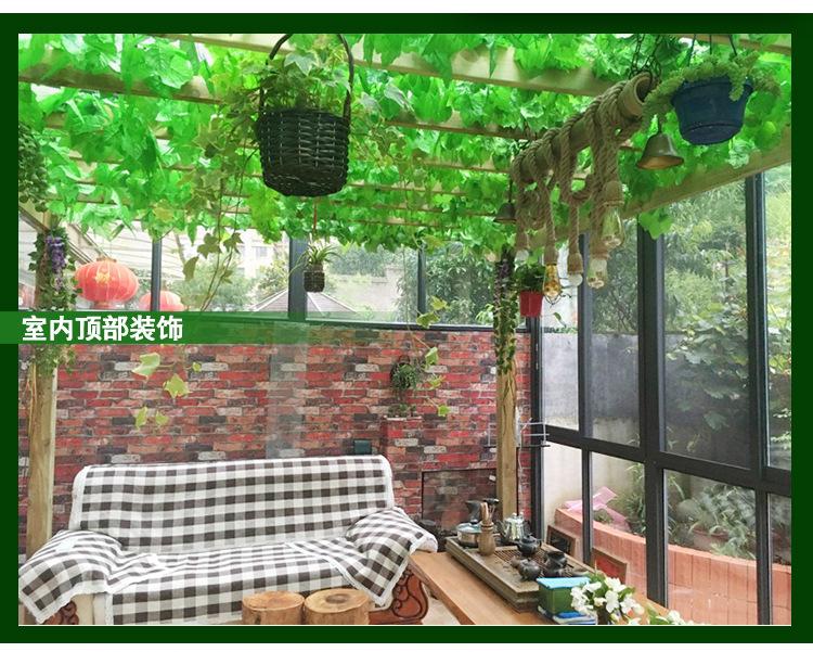 阿里葡萄叶_11