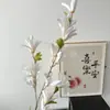 Flor Artificial Rama Larga Orquídea Fengyu Boda Flor de Seda Flor Falsa Flor Orquídea Salón de Bodas Fila de Flores Arte Floral Material de Flor Artificial Orquídea Fengyu