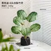 Decoração de planta em vaso de planta verde para simulação transfronteiriça sala de estar bar flor artificial flor de simulação decoração de flor de alto nível