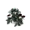 Planta Verde Artificial Hoja de Ceja Ratán Patrón Sandía Pequeña Colgante Planta Colgante de Pared Accesorios de Pared Adornos para Interiores y Exteriores Decoración