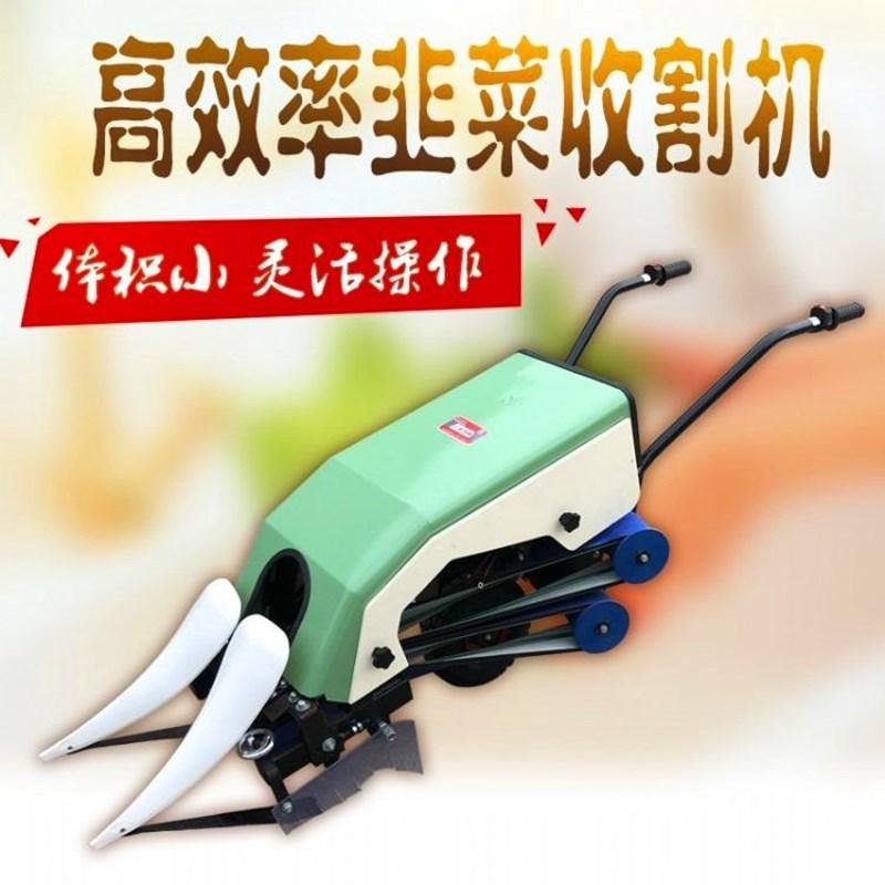 u=895476283,1180508382&fm=