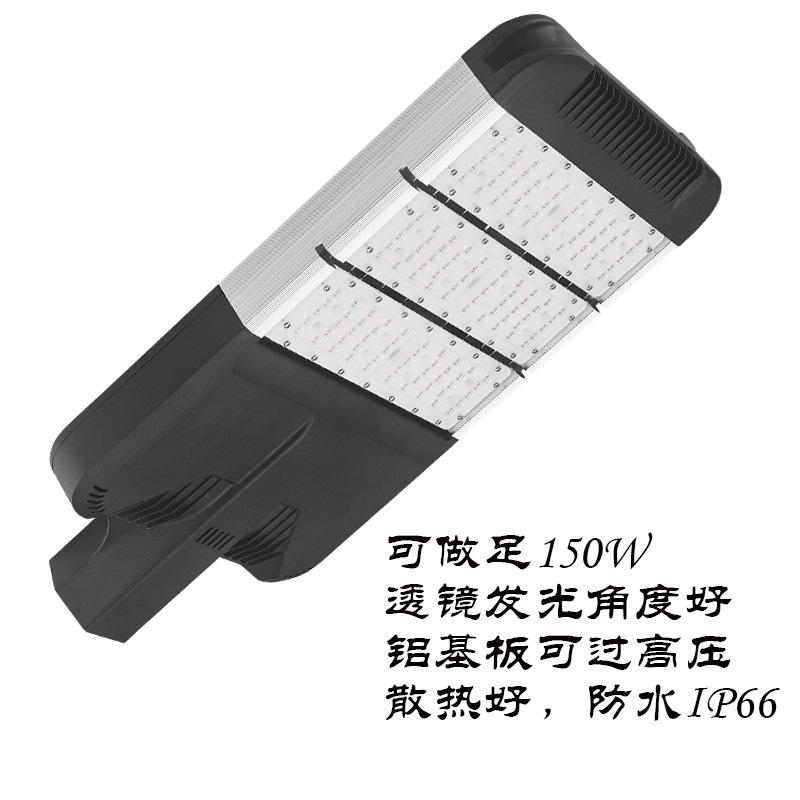 300334.jpg