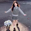Conjunto de chaleco de punto y falda plisada estilo preppy para niñas, un moderno atuendo de tres piezas para primavera y otoño, adecuado para niños mayores