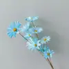 Flor Seca Violeta Flores Frescas para Casa Ornamentos de Flores Flor Semente de Melão Orquídea Wenxin Buquê de Flores Artesanal Arranjo de Flores DIY