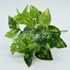 Fabricante Fonte, Plantas Simuladas, Flores Falsas de Plástico, Acessórios para Parede de Plantas, Folhas com Toque Colado, Folhas de Tartaruga, Rabanete Verde