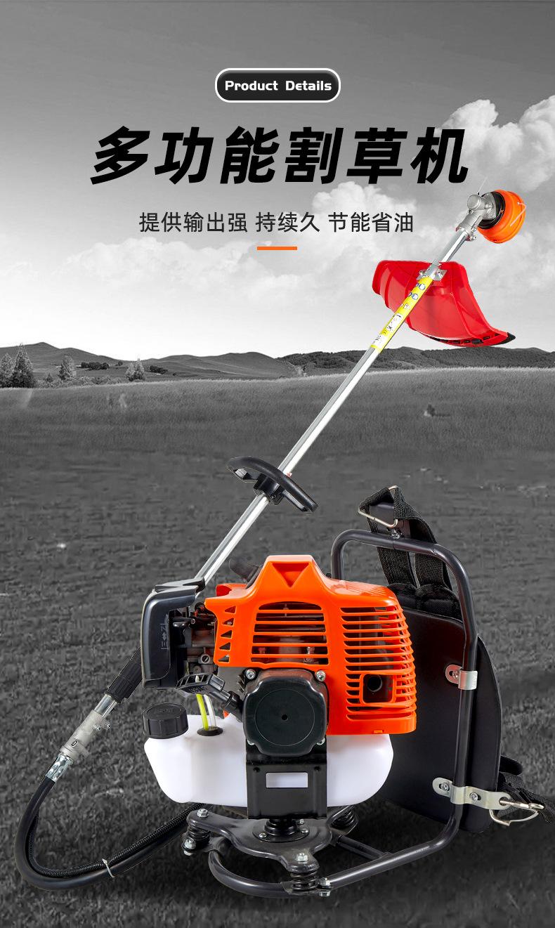 详情_03.jpg