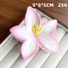 Presilha de Cabelo Colorida de Plástico em Forma de Flor de Frangipani, Estilo de Férias, para Prender Metade do Cabelo na Parte de Trás da Cabeça, Estilo Europeu e Americano Super Fada Transfronteiriça
