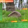 Altavoces de césped para exteriores, impermeables, para parques, jardines, césped, piedra, simulación de animales, rocalla, jardín.