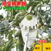 Recogedor de Frutas de Altura con Poste Telescópico Extendido para Recoger Mangos, Nísperos, Caquis, Bayas y Manzanas Sin Daño en Segundos