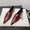 Novos Sapatos Femininos de Salto Baixo Bico Fino Estilo Europeu e Americano Outono 2026 com Design Único e Velcro para Deslocamento e Uso Profissional