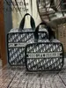 Bolsa de Armazenamento para Cosméticos, Estilo Pequeno e Elegante, Bolsa de Maquiagem Portátil para Mulheres, Alto Valor Estético, Grande Capacidade, Bolsa de Mão para Viagem