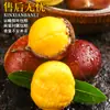 Castañas Frescas Dandong 2024, Castañas Frescas, Castañas Tiernas Grandes, Castañas Silvestres, Castañas Nuevas de Cono de Aceite, Recién Cosechadas