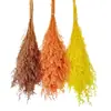 Hierba de Amor Blanqueada Flor Inmortal Hierba de Amor Blanqueada Ramo Seco Material Base Yunnan Venta Directa Ramo Pequeño Amazon