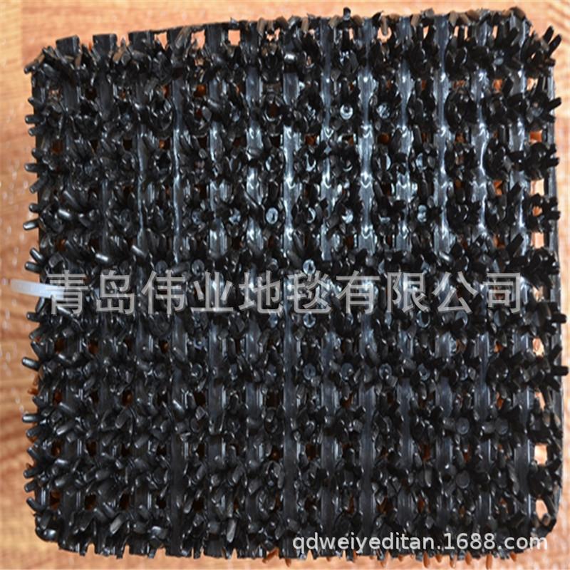 NT-PG01BL-2.jpg