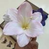 Imitação de lírio high-end sentido pequeno livro vermelho cabelo gancho DIY acessórios de flores falsas acessórios de cabeça de flores sapatos acessórios de flores