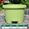 Maceta de Resina Gruesa Corta, Maceta de Plástico Transpirable para Bulbos, Tulipanes, Lirios, Amarilis, Crocus y Azafrán, Tamaño Grande