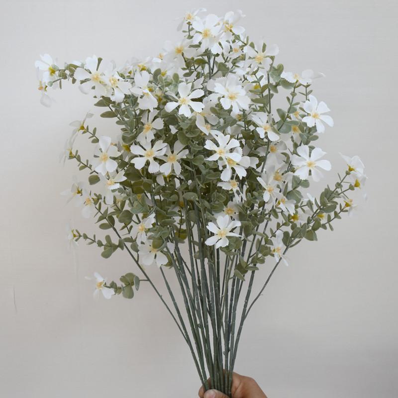 小野花白色_副本