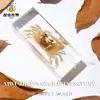 Especímenes de Insectos Artesanales Jingling: Escarabajo, Escorpión, Mantis, Araña - Educación en Ciencias Biológicas, Regalos de Nicho, Adornos de Resina
