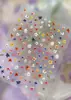 Adesivos para Nail Art com Padrão de Formiga Adesivos para Nail Art com Flores Secas em Relevo Fabricante Direto Decorações para Nail Art de Flores da Primavera Atacado Yt8251