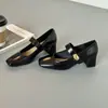 Zapatos Mary Jane de piel de oveja estilo francés con punta cuadrada y hebilla dorada, tacón grueso para mujer, salones de correa única poco profundos, tacones altos versátiles y elegantes