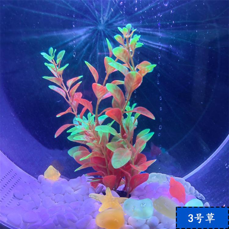 3号草