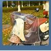 Novo Para-brisa Dobrável para Veículo Elétrico, Capa Protetora Impermeável, Para-brisa para Motocicleta com Bateria, Transparente, Universal para Todas as Estações
