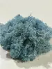 Musgo de Reno Preservado Flor Seca DIY Paisajismo Micro Paisaje, Botella Ecológica, Planta en Maceta de Vidrio, Cubierta de Suelo para Bonsái