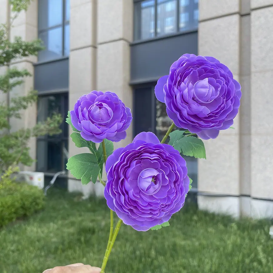 32# 3头澜庭露莲-wxltx-深紫蓝.JPG