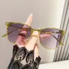Gafas de Sol Estilo Nuevo Moda Famosos de Internet Transmisión en Vivo Ultraligeras Cara Lisa Adelgazantes Gafas de Sol para Mujer Conducción Montura Grande Gafas de Sol para Hombre