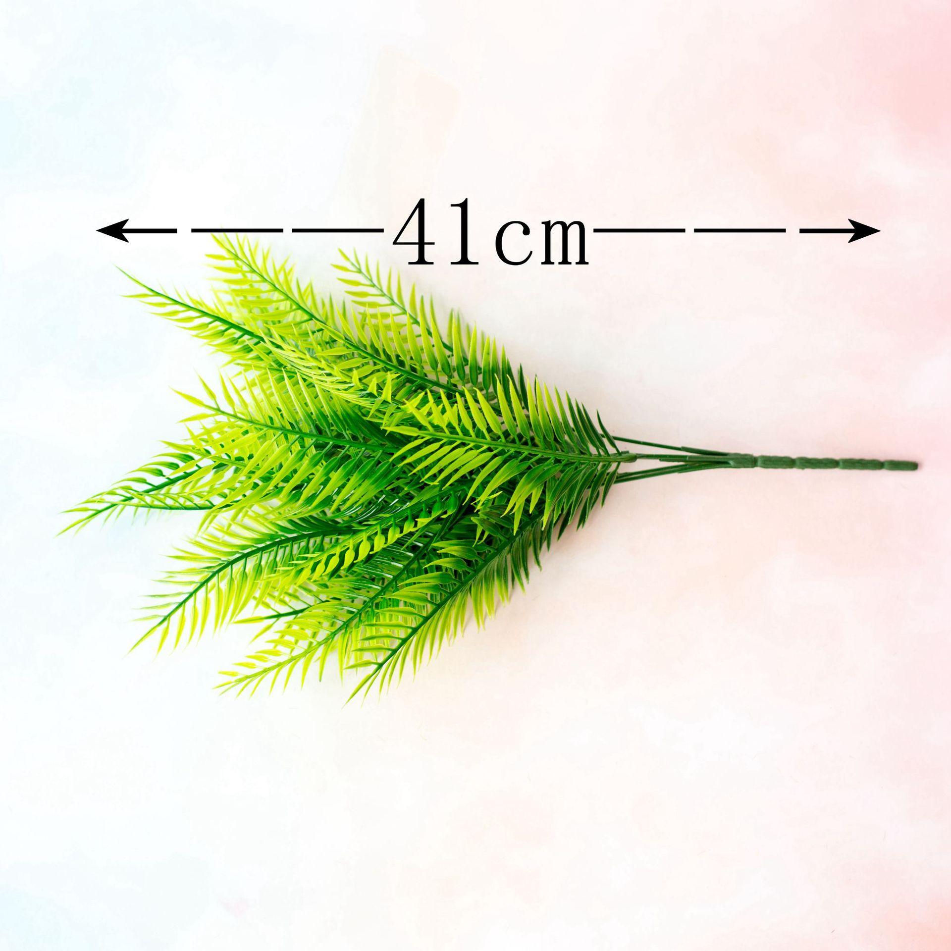 25目彩叶草19X504 (7)